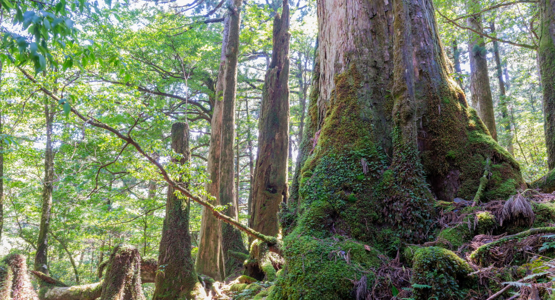 健康経営の実践に向けた土台づくり